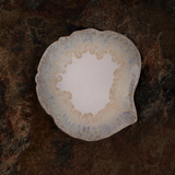 Brisa Shell Plate